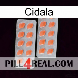 Cidala 27
